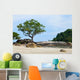 Tropical Rocky Beach with