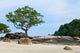 Tropical Rocky Beach with