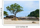 Tropical Rocky Beach with