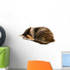 Kitten Asleep Wall Decal