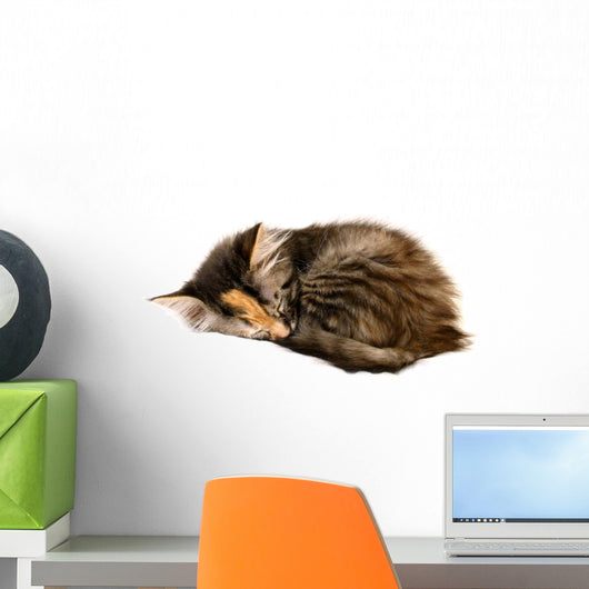 Kitten Asleep Wall Decal