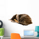 Kitten Asleep Wall Decal