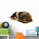 Kitten Asleep Wall Decal