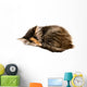 Kitten Asleep Wall Decal