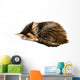 Kitten Asleep Wall Decal