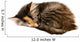 Kitten Asleep Wall Decal