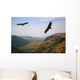 Vulture Wall Mural