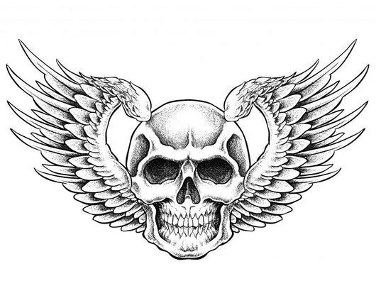 Skull with Wings Vector
