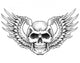 Skull with Wings Vector