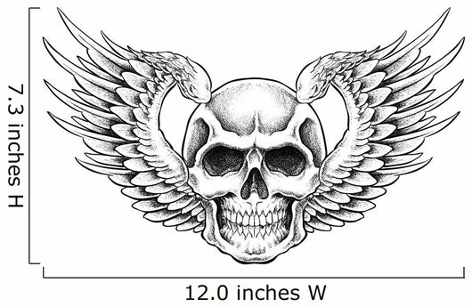 Skull with Wings Vector