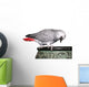 African Grey Parrot on Pot Wall Decal
