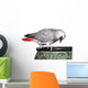 African Grey Parrot on Pot Wall Decal