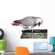 African Grey Parrot on Pot Wall Decal