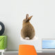 Adorable Rabbit White Wall Decal