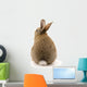 Adorable Rabbit White Wall Decal