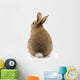 Adorable Rabbit White Wall Decal
