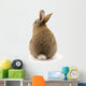Adorable Rabbit White Wall Decal