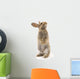 Adorable Rabbit White Wall Decal