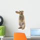 Adorable Rabbit White Wall Decal