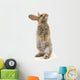 Adorable Rabbit White Wall Decal