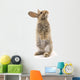 Adorable Rabbit White Wall Decal