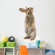 Adorable Rabbit White Wall Decal