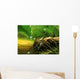 dewy pine cone Wall Mural