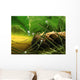 dewy pine cone Wall Mural