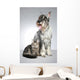 Dog Breed Mittel Schnauzer