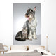 Dog Breed Mittel Schnauzer