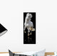 white horse isolated Wall Mural
