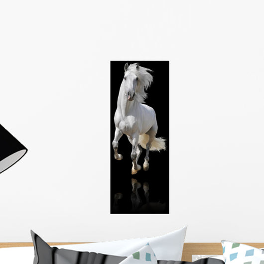 white horse isolated Wall Mural