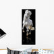white horse isolated Wall Mural