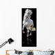 white horse isolated Wall Mural