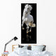 white horse isolated Wall Mural