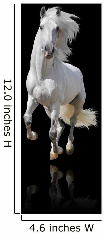 white horse isolated Wall Mural