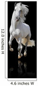 white horse isolated Wall Mural