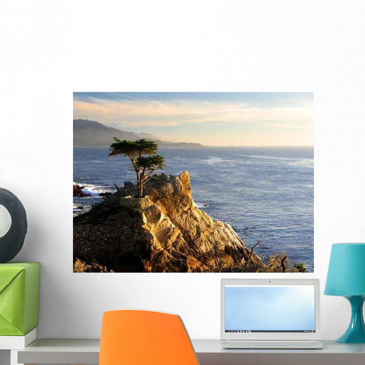 Lone Cypress Tree Wall Decal