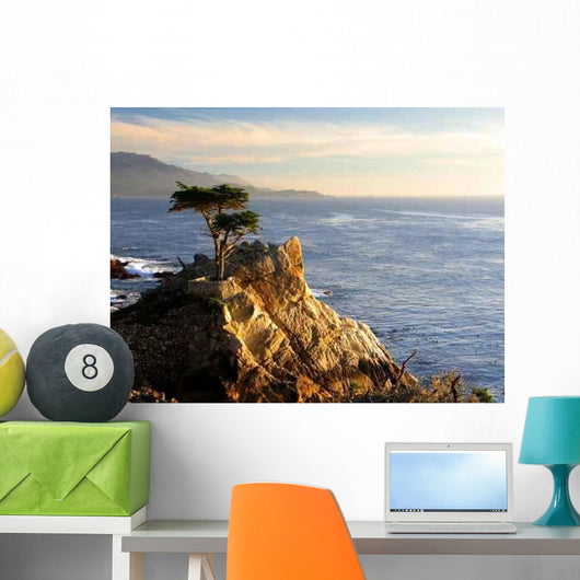 Lone Cypress Tree Wall Decal