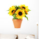 Bright Sunflowers in a Pot Wall Decal