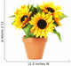 Bright Sunflowers in a Pot Wall Decal