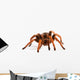 Tarantula Wall Decal