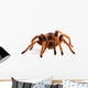 Tarantula Wall Decal