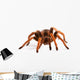 Tarantula Wall Decal