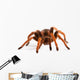 Tarantula Wall Decal