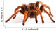 Tarantula Wall Decal