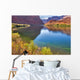 the river colorado. Wall Mural