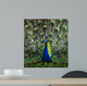 Peacock Wall Decal