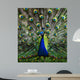 Peacock Wall Decal