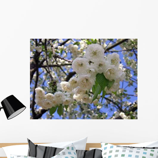 Kirschbl Ten 3 Wall Decal